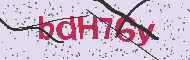 Captcha認証コード
