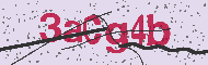 Captcha認証コード