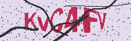 Captcha認証コード